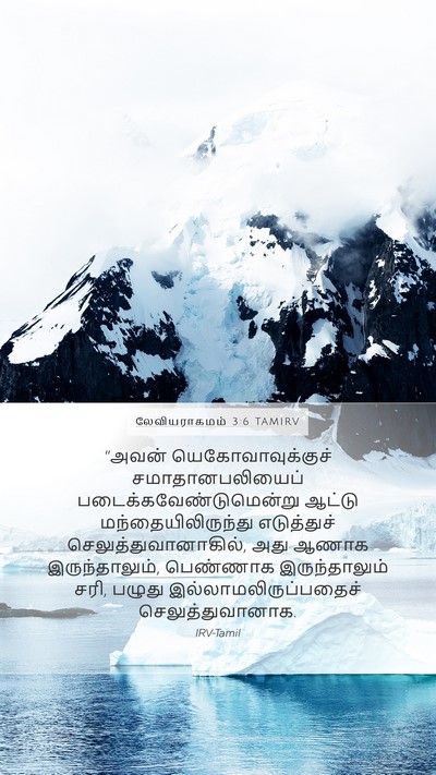 லேவியராகமம் 3:6 TAMIRV Bible Verse Image