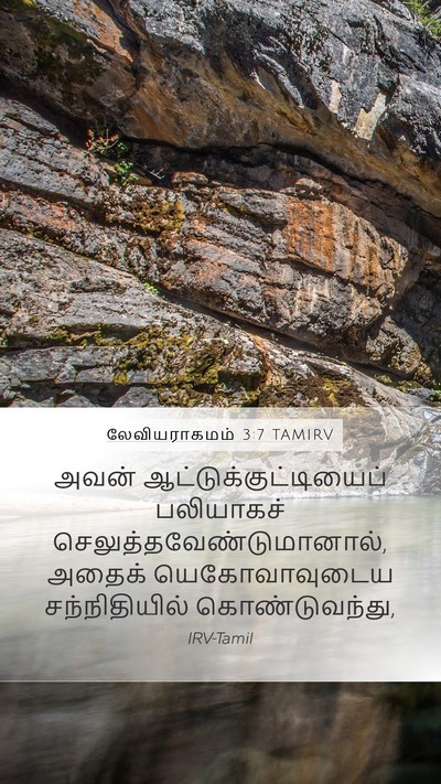 லேவியராகமம் 3:7 TAMIRV Bible Verse Image