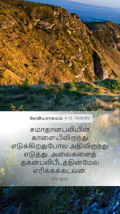 லேவியராகமம் 4:10 TAMIRV Mobile Phone Wallpaper - சமாதானபலியின் - Mobile Bible Verse Wallpaper