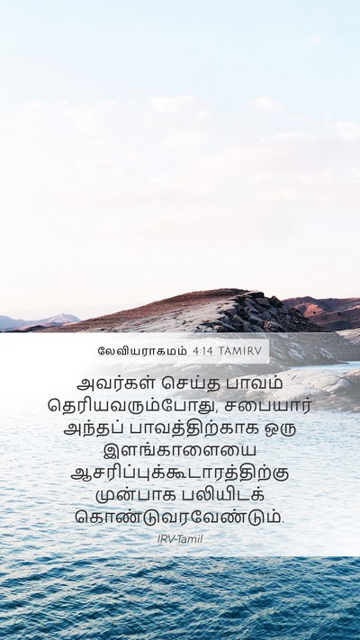 லேவியராகமம் 4:14 TAMIRV Bible Verse Image