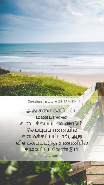 லேவியராகமம் 6:28 TAMIRV Bible Verse Image