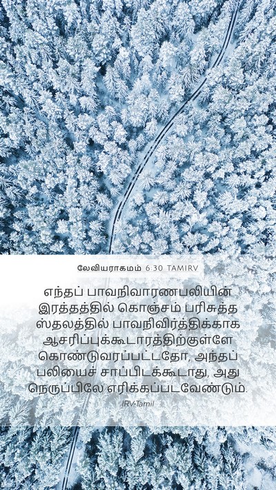 லேவியராகமம் 6:30 TAMIRV Bible Verse Image