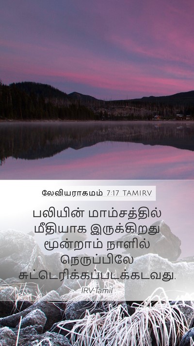 லேவியராகமம் 7:17 TAMIRV Bible Verse Image