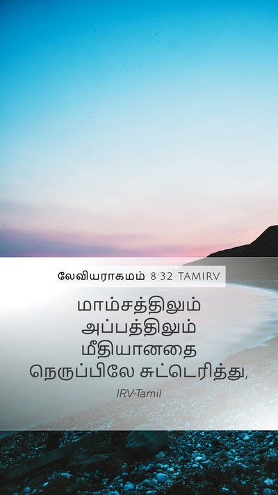 லேவியராகமம் 8:32 TAMIRV Mobile Phone Wallpaper - மாம்சத்திலும் - Mobile Bible Verse Wallpaper
