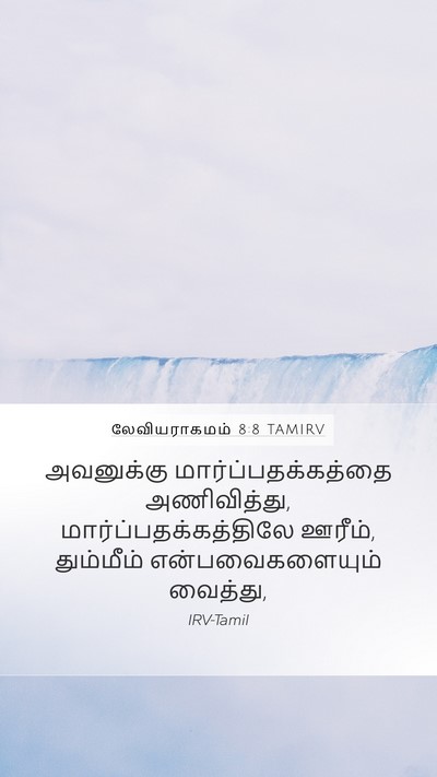 லேவியராகமம் 8:8 TAMIRV Bible Verse Image