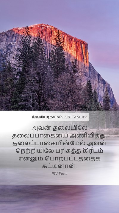 லேவியராகமம் 8:9 TAMIRV Bible Verse Image