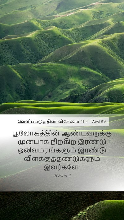 வெளிப்படுத்தின விசேஷம் 11:4 TAMIRV Bible Verse Image