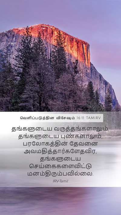 வெளிப்படுத்தின விசேஷம் 16:11 TAMIRV Bible Verse Image