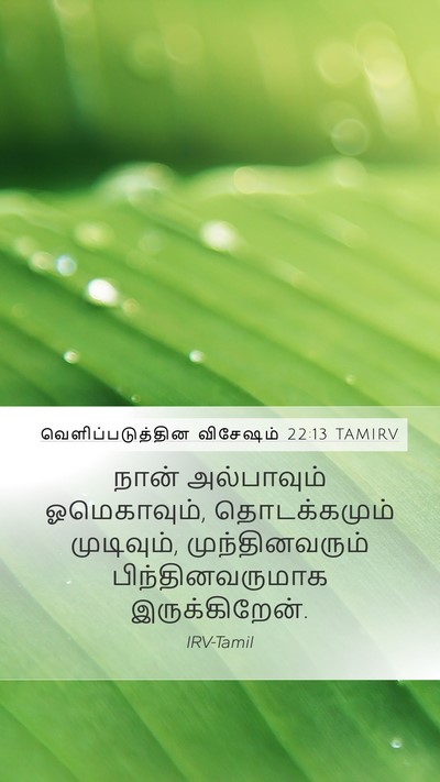 வெளிப்படுத்தின விசேஷம் 22:13 TAMIRV Bible Verse Image