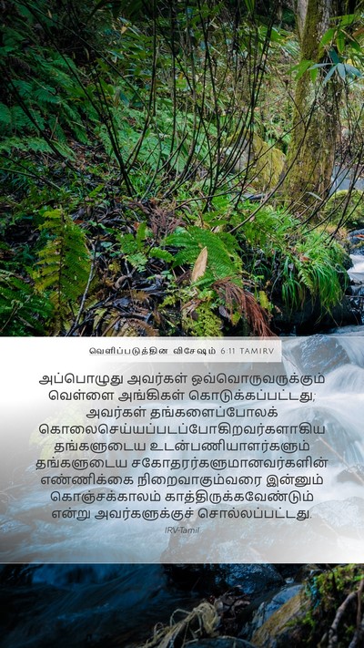 வெளிப்படுத்தின விசேஷம் 6:11 TAMIRV Bible Verse Image