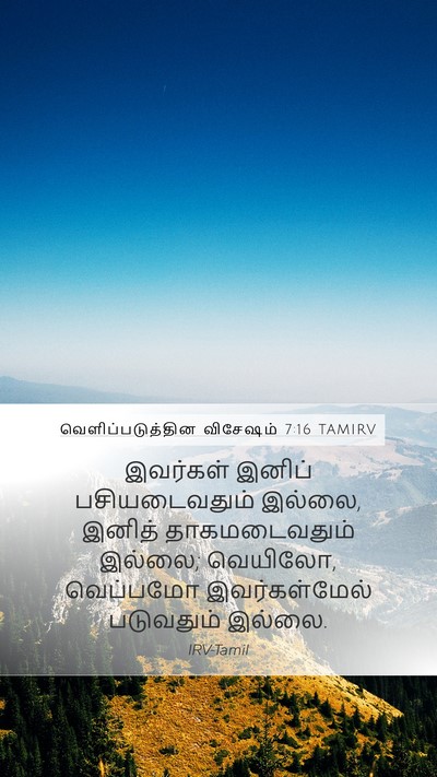 வெளிப்படுத்தின விசேஷம் 7:16 TAMIRV Bible Verse Image