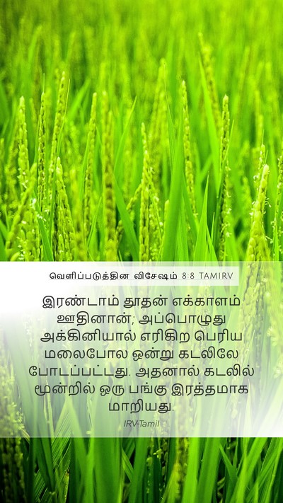 வெளிப்படுத்தின விசேஷம் 8:8 TAMIRV Mobile Phone Wallpaper - இரண்டாம் தூதன் - Mobile Bible Verse Wallpaper